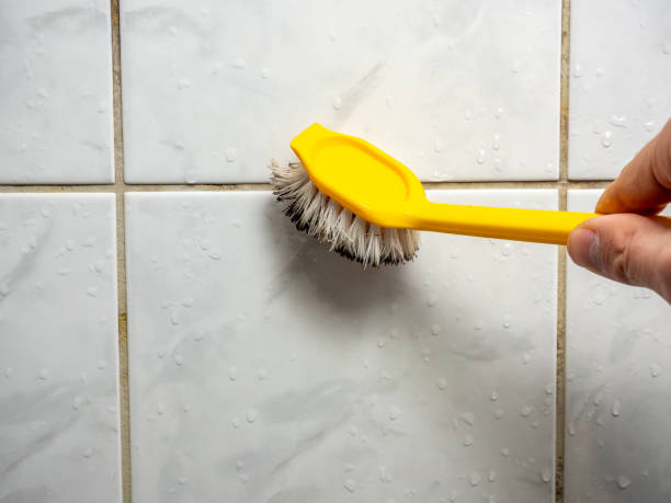 Best Professional Mold Removal  in Hamburg, PA