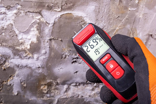 Best Affordable Mold Removal  in Hamburg, PA