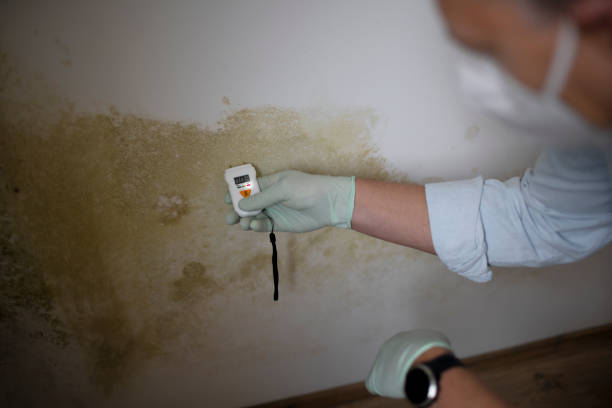 Water Damage Restoration in Hamburg, PA