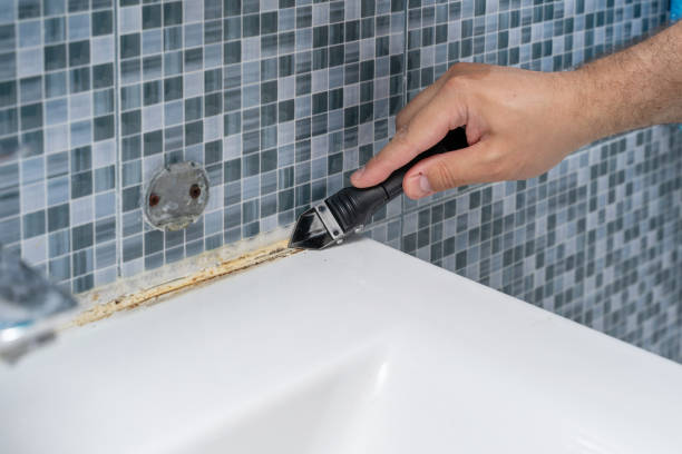 Best Mold Removal Near Me  in Hamburg, PA