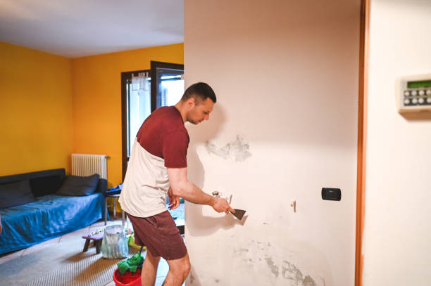 Certified Mold Removal in Hamburg, PA